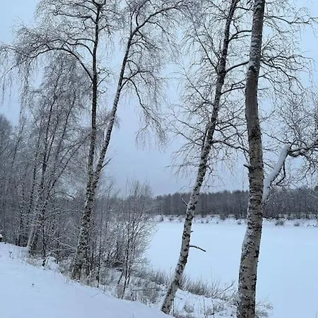 Ivalo Northern Lights Riverfront Lapland Sauna Hot Tub Near Airport