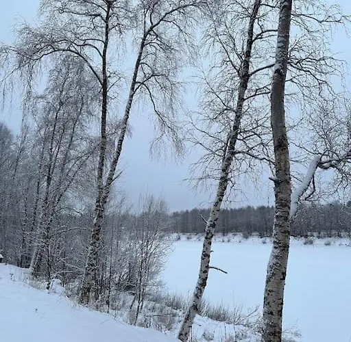 Ivalo Northern Lights Riverfront Lapland Sauna Hot Tub Near Airport