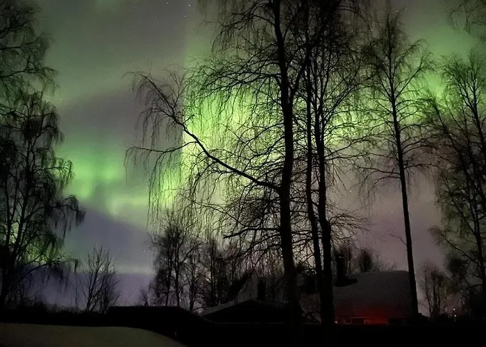 Ivalo Northern Lights Riverfront Lapland Sauna Hot Tub Near Airport Enare